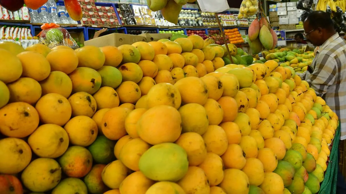 <p><strong>Can I pack Egyptian mangoes or local fruits in my checked luggage? What are the packaging requirements?</strong></p><p><br></p>
