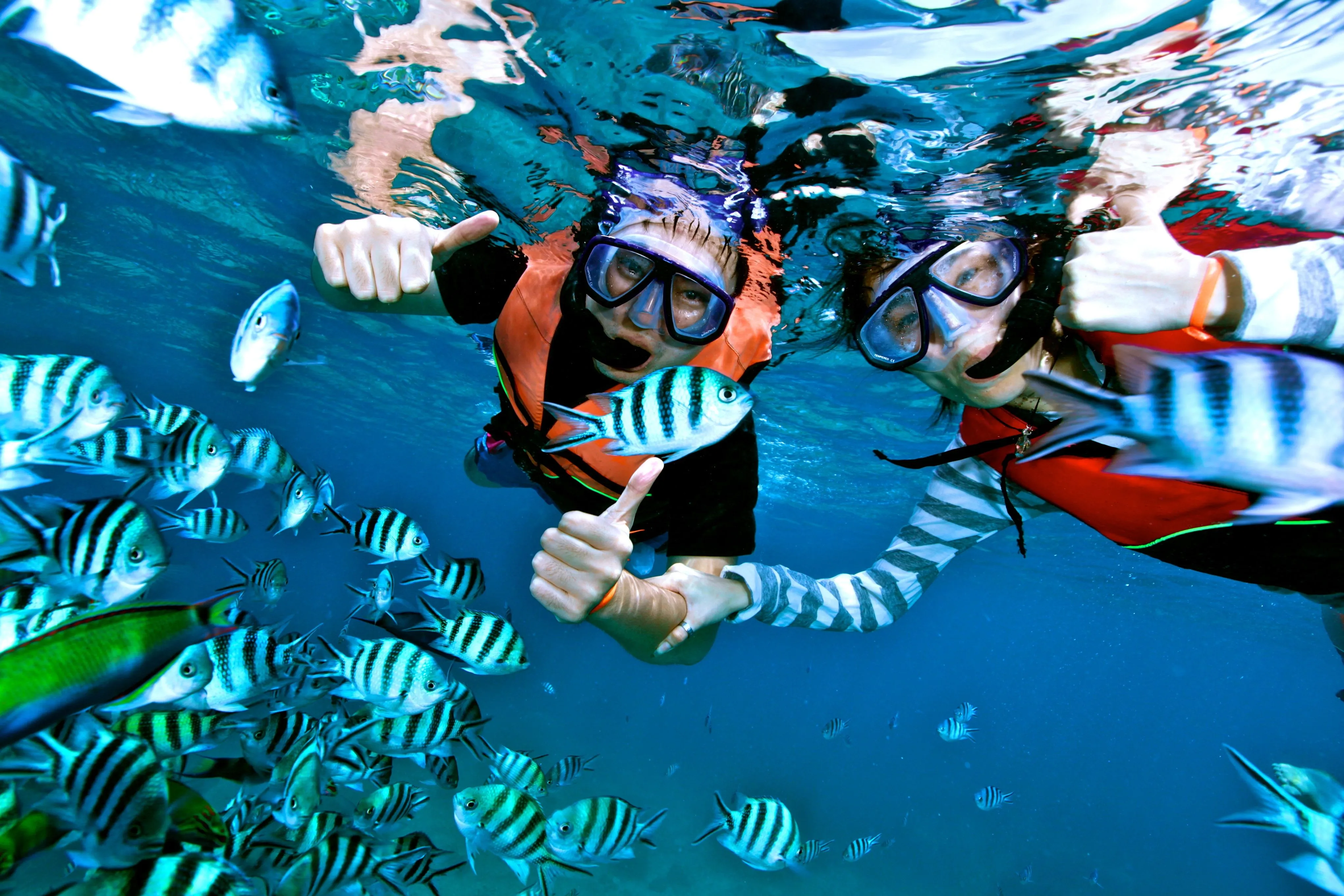 <p><strong>I can't swim—will I still be able to enjoy trips to the islands (such as "Paradise" or "Orange") or snorkeling?</strong></p><p><br></p><p><br></p>