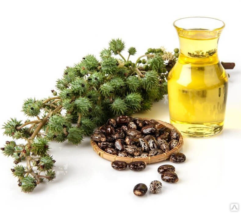 CASTOR OIL