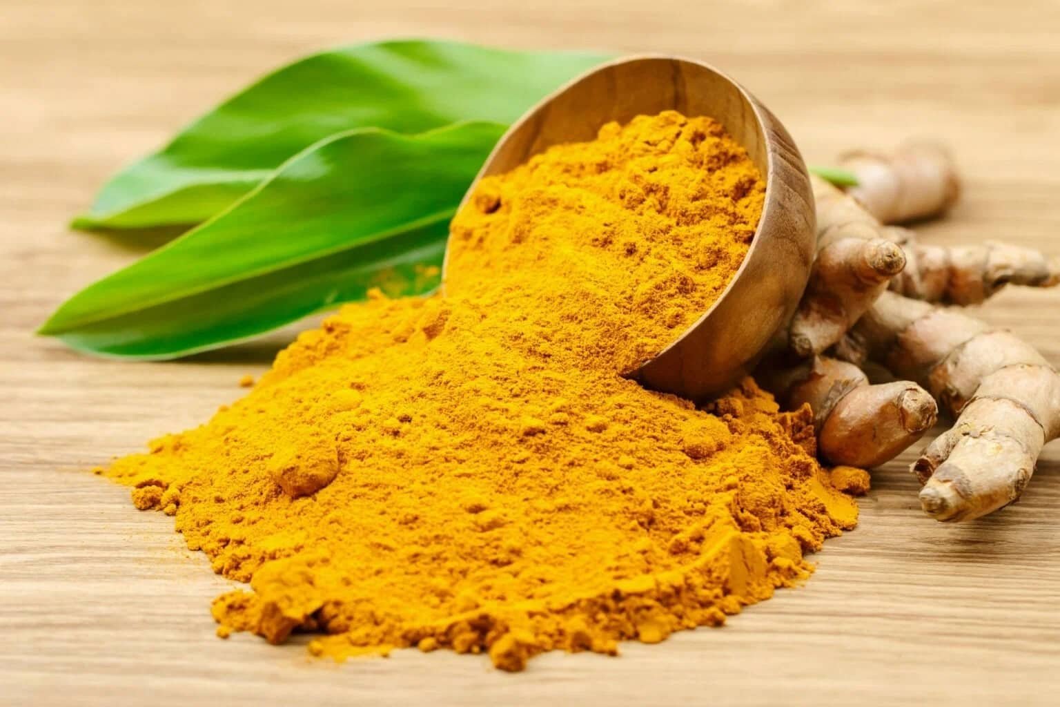 Turmeric - Curcuma - Image 2