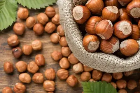 HAZELNUTS