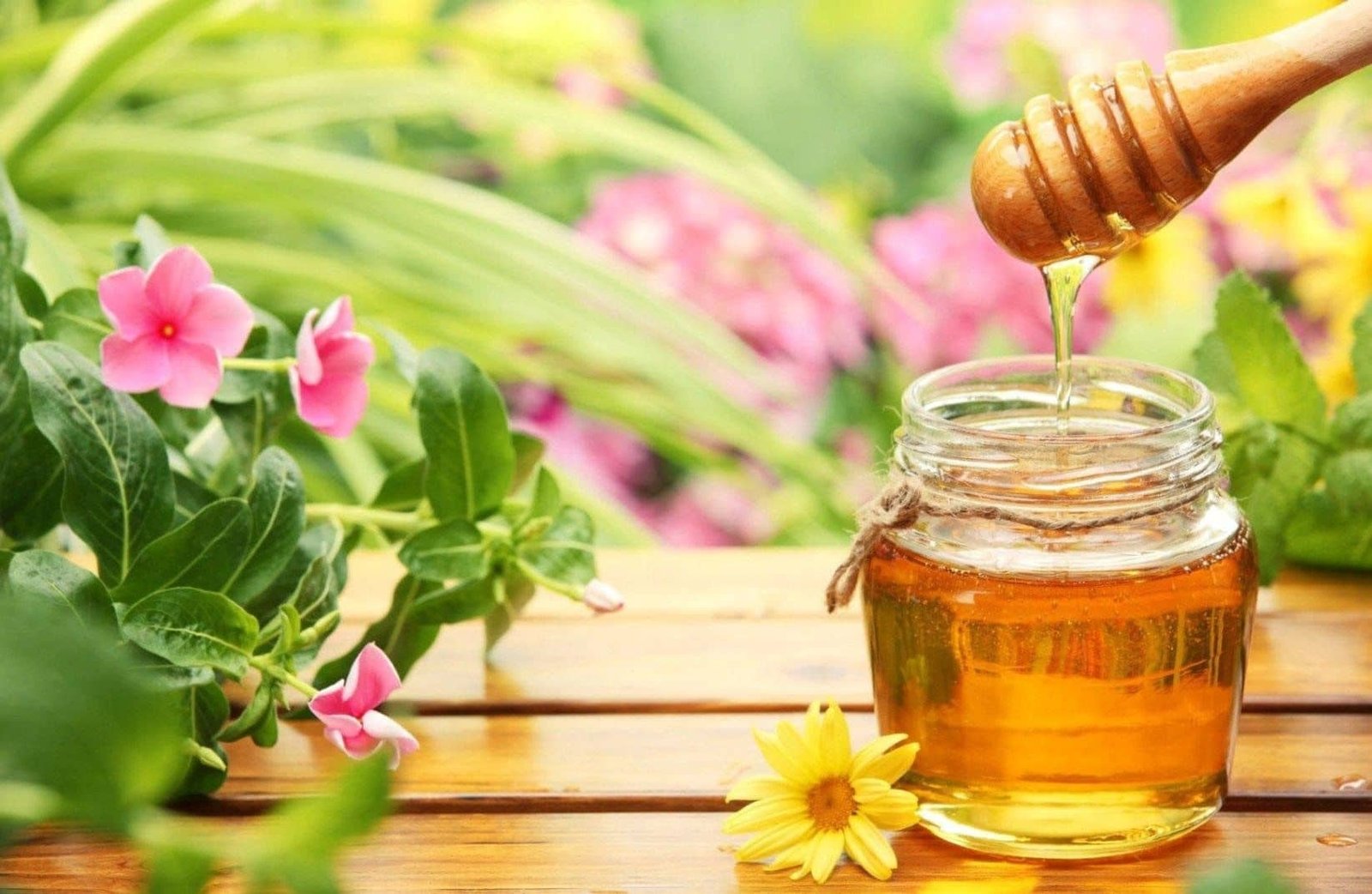 MARJORAM HONEY