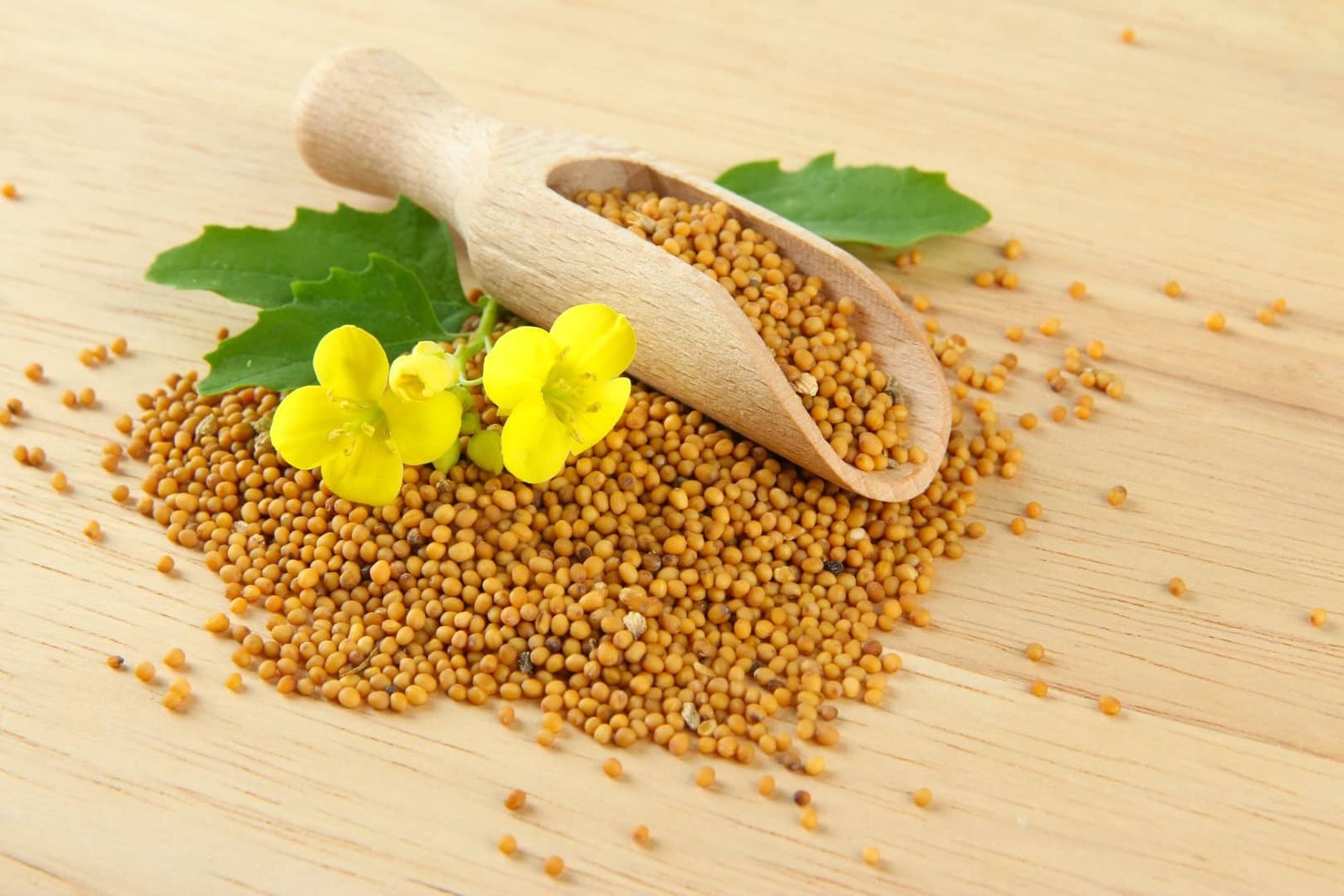 Mustard